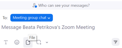 Sdílení zoom 2.png