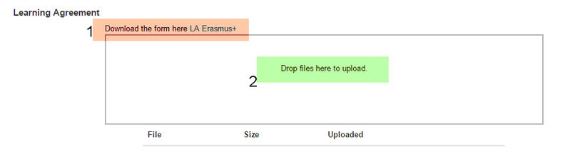 Soubor:Erasmus nom student 12.png